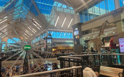 SCHEELS運動用品店-每日行程圖片