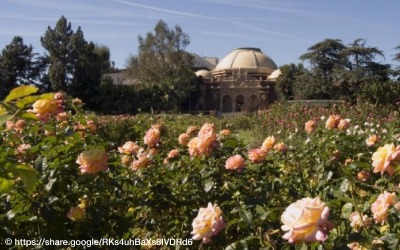 博覽會公園玫瑰園-每日行程圖片