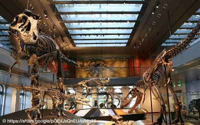 洛杉磯自然歷史博物館入內參觀-每日行程圖片