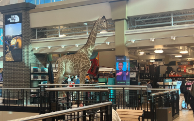 運動購物-特色介紹圖片4