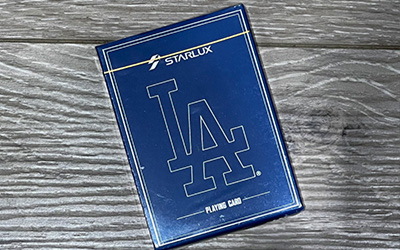 星宇航空道奇主題航班-特色介紹圖片3